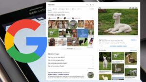 Google: neue Bilder-Vorschau in den Hauptsuchergebnissen