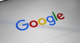 Google vertraut keinen Links von Spam-Seiten