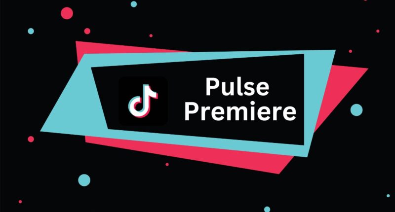 TikTok Pulse Premiere bietet Accounts 50 % Beteiligung