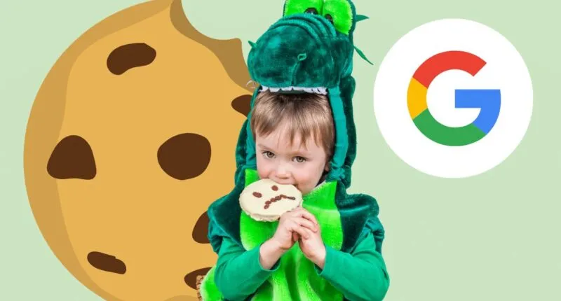google führt floc als cookie alternative ein
